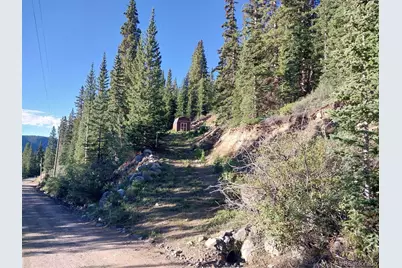 1062 Roberts Road, Alma, CO 80420 - Photo 7