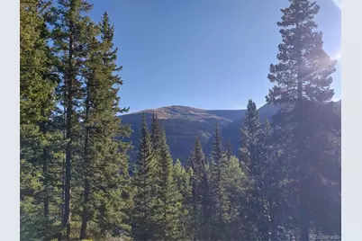 1062 Roberts Road, Alma, CO 80420 - Photo 1