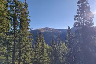 1062 Roberts Rd, Alma, CO 80420 - Photo 1