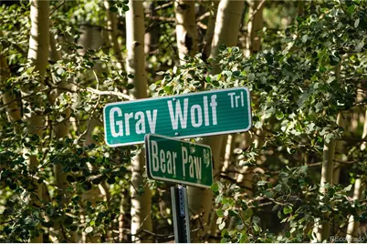 Lot F Gray Wolf Trail, Golden, CO 80403 - Photo 45