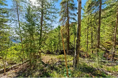 Lot F Gray Wolf Trail, Golden, CO 80403 - Photo 31