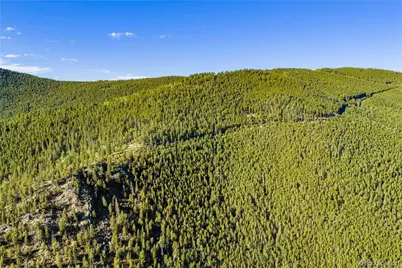 Lot F Gray Wolf Trail, Golden, CO 80403 - Photo 49