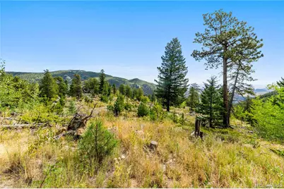 Lot F Gray Wolf Trail, Golden, CO 80403 - Photo 21