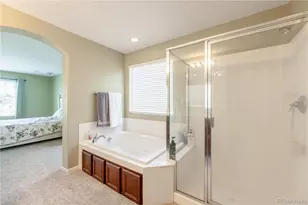 4262 Abstract St, Castle Rock, CO 80109 - Photo 25