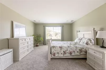 4262 Abstract Street, Castle Rock, CO 80109 - Photo 23