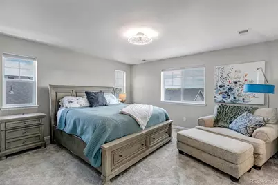 5214 Ditmars Trail, Castle Rock, CO 80104 - Photo 19