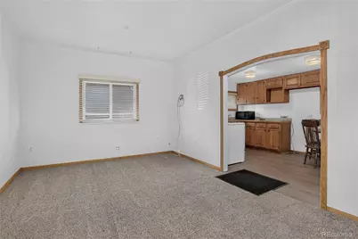 223 3rd Avenue, Idaho Springs, CO 80452 - Photo 7