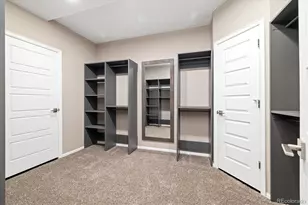 6725 Mentha Dr, Castle Rock, CO 80108 - Photo 39
