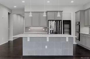 6725 Mentha Dr, Castle Rock, CO 80108 - Photo 9