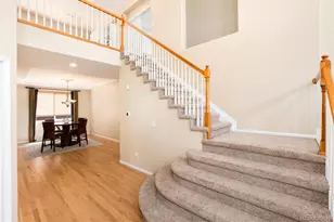 10541 Jaguar Glen, Lone Tree, CO 80124 - Photo 7