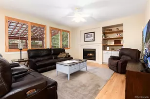 10541 Jaguar Glen, Lone Tree, CO 80124 - Photo 23