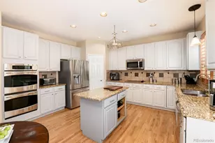 10541 Jaguar Glen, Lone Tree, CO 80124 - Photo 19