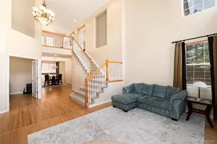 10541 Jaguar Glen, Lone Tree, CO 80124 - Photo 11