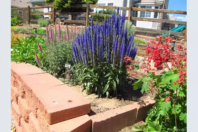 8483 S Dudley Street, Littleton, CO 80128 - Photo 39