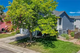 16363 Bluebell Pl, Parker, CO 80134 - Photo 43
