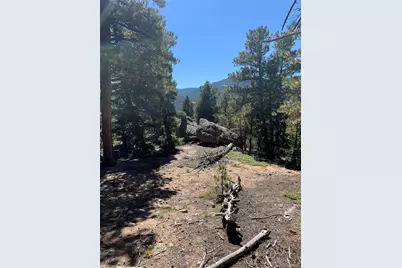 32764 Lodgepole Circle, Evergreen, CO 80439 - Photo 45