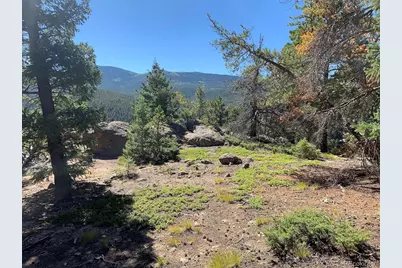 32764 Lodgepole Circle, Evergreen, CO 80439 - Photo 3