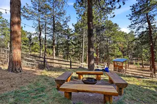 9808 Fallen Rock Rd, Conifer, CO 80433 - Photo 35