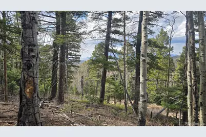 Lot 5261 Scott Road, Fort Garland, CO 81133 - Photo 7