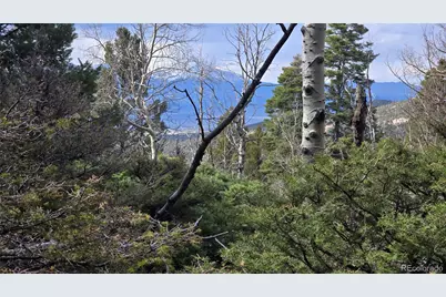 Lot 5261 Scott Road, Fort Garland, CO 81133 - Photo 5