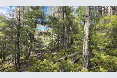 Lot 5261 Scott Road, Fort Garland, CO 81133 - Photo 23