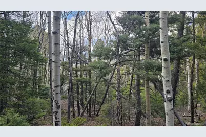 Lot 5261 Scott Road, Fort Garland, CO 81133 - Photo 11