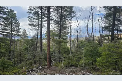 Lot 5261 Scott Road, Fort Garland, CO 81133 - Photo 21