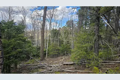 Lot 5261 Scott Road, Fort Garland, CO 81133 - Photo 13