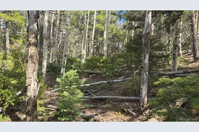 Lot 5261 Scott Road, Fort Garland, CO 81133 - Photo 9