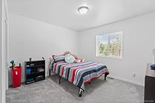 125 Sun Way, Bailey, CO 80421 - Photo 27