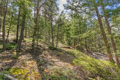 Lost Cabin Trail, Evergreen, CO 80439 - Photo 13