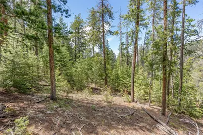 Lost Cabin Trail, Evergreen, CO 80439 - Photo 7