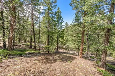 Lost Cabin Trail, Evergreen, CO 80439 - Photo 9