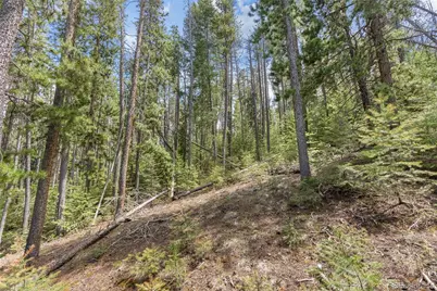 Lost Cabin Trail, Evergreen, CO 80439 - Photo 3