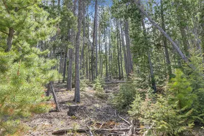 Lost Cabin Trail, Evergreen, CO 80439 - Photo 5