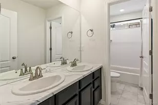 3361 Ireland Moss St, Castle Rock, CO 80109 - Photo 29