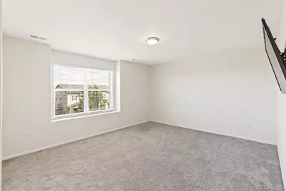 3361 Ireland Moss Street, Castle Rock, CO 80109 - Photo 21