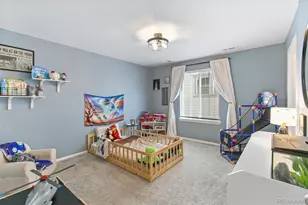 3361 Ireland Moss St, Castle Rock, CO 80109 - Photo 27