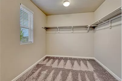 3426 Swabuck Place, Castle Rock, CO 80109 - Photo 19