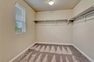 3426 Swabuck Pl, Castle Rock, CO 80109 - Photo 19