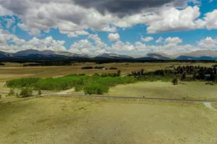 119 Bristlecone Ln, Fairplay, CO 80440 - Photo 49