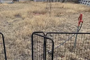 524 Iowa, Sugar City, CO 81076 - Photo 3