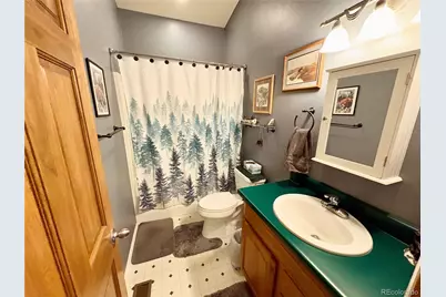 16602 Holly Court, Buena Vista, CO 81211 - Photo 21