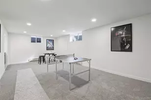 3005 S Race St, Denver, CO 80210 - Photo 27