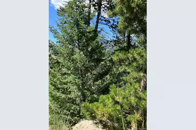 3 Miners Road, Black Hawk, CO 80422 - Photo 7