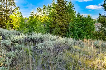 1430 Coil Drive, Fairplay, CO 80440 - Photo 13