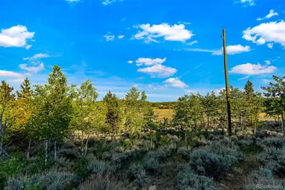 1430 Coil Drive, Fairplay, CO 80440 - Photo 25