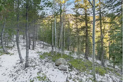 Clear Creek Rd, Evergreen, CO 80439 - Photo 11