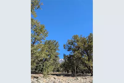 2202 Spanish Creek Road, Crestone, CO 81131 - Photo 11