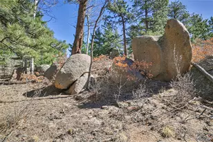 640 Ridgeway Dr, Cotopaxi, CO 81223 - Photo 33
